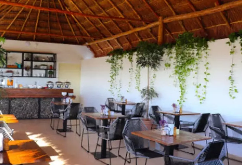 ホテル Elements Tulum Boutique