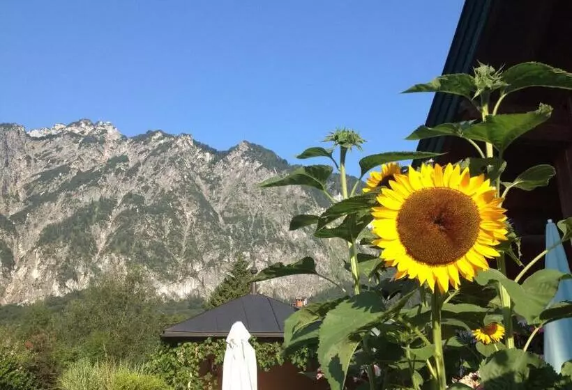 ホテル Gasthof Schorn