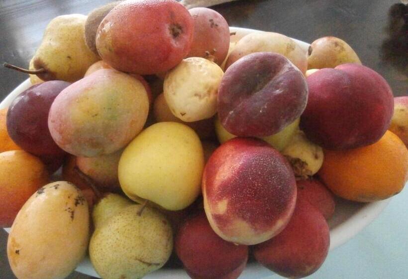 هتل Pensaò Big Game Maio