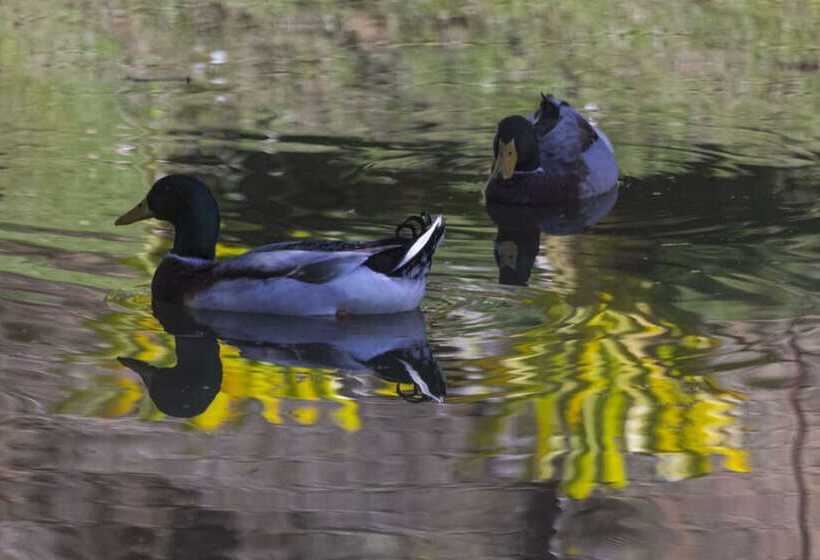 Отель Resort Fazenda 3 Pinheiros