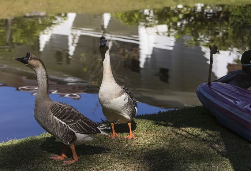 Отель Resort Fazenda 3 Pinheiros