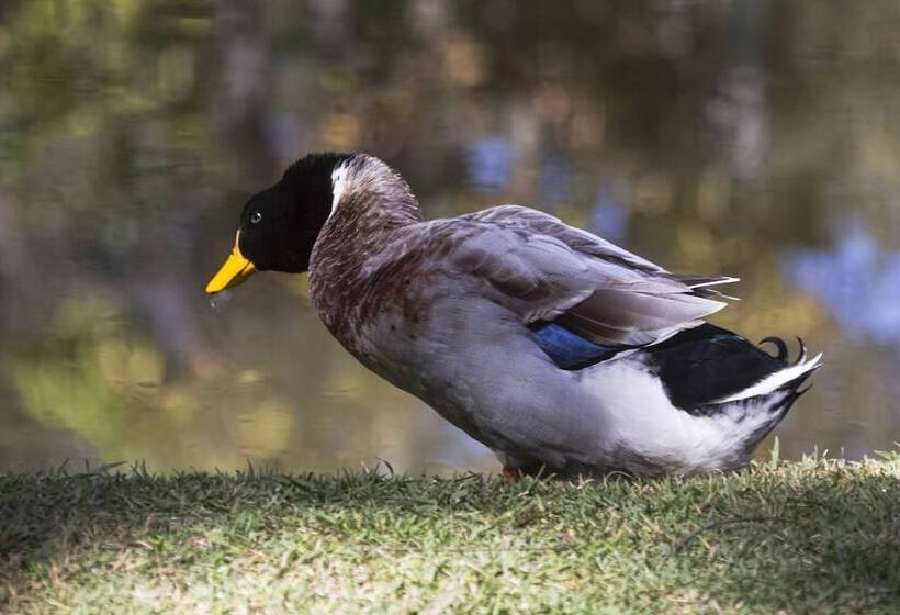 Отель Resort Fazenda 3 Pinheiros