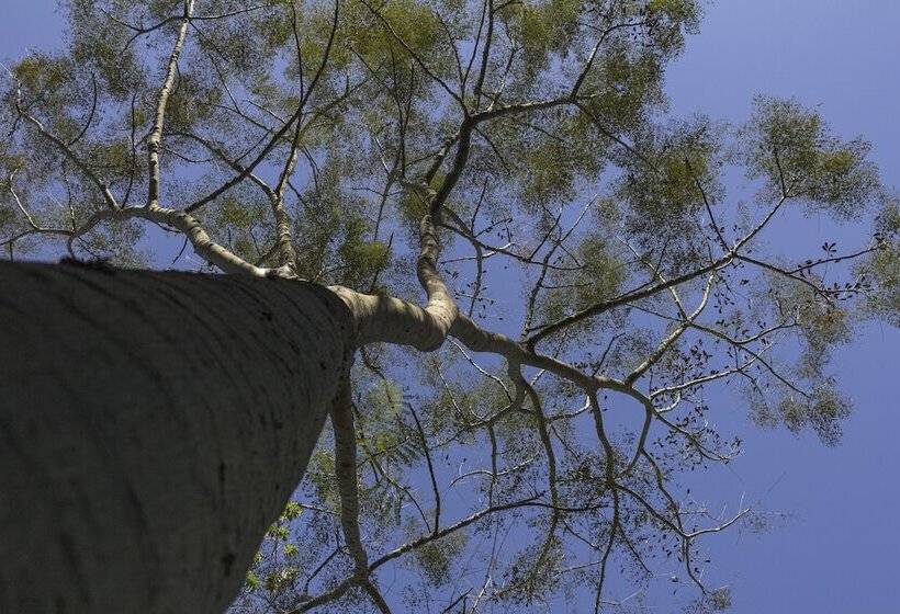 Отель Resort Fazenda 3 Pinheiros