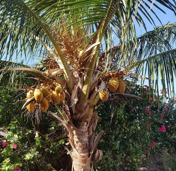 B&b La Creole