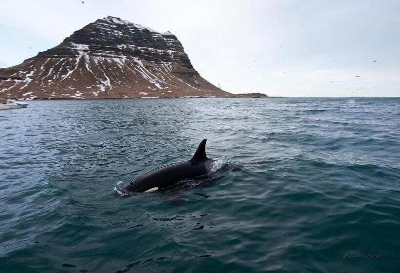 Grundarfjördur Hostel
