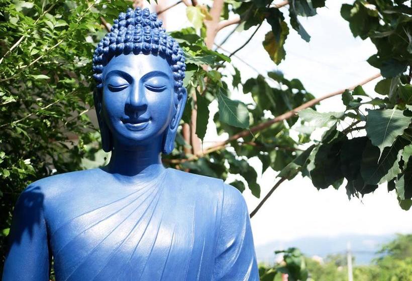 فندق Blue Buddha