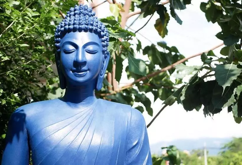 هتل Blue Buddha