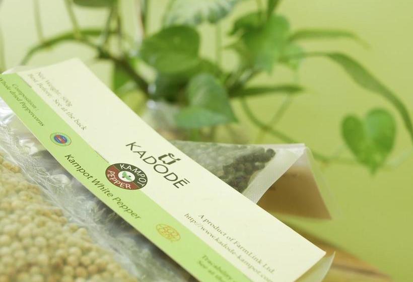 فندق Blue Buddha