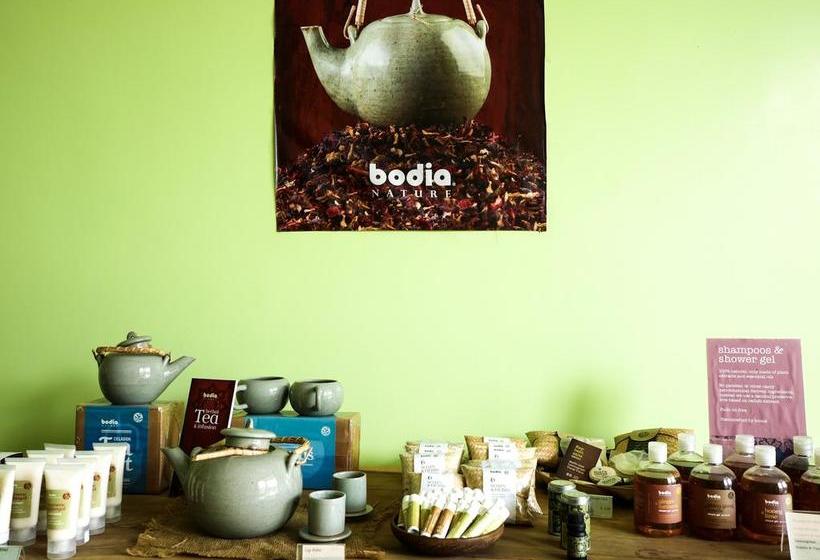 فندق Blue Buddha