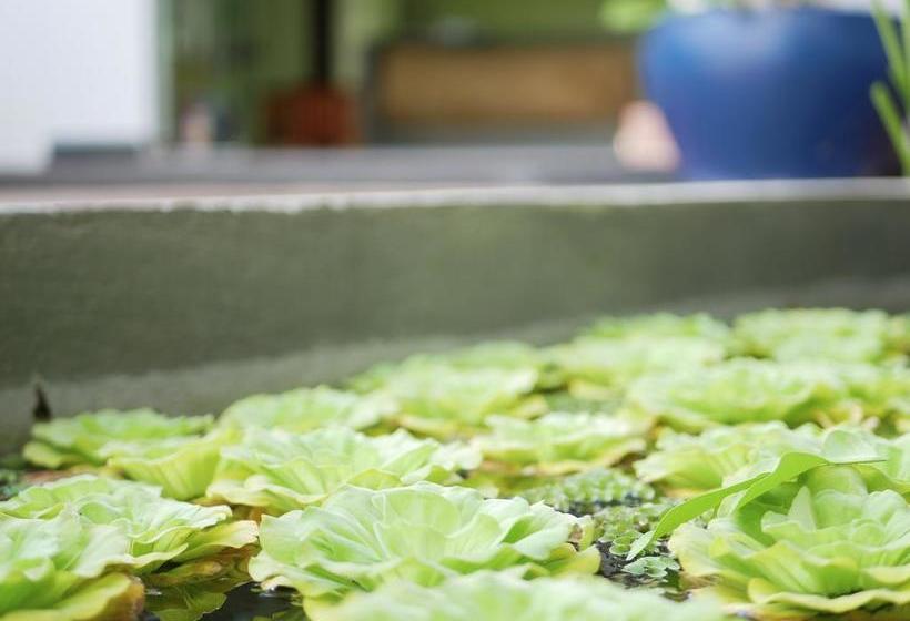 فندق Blue Buddha