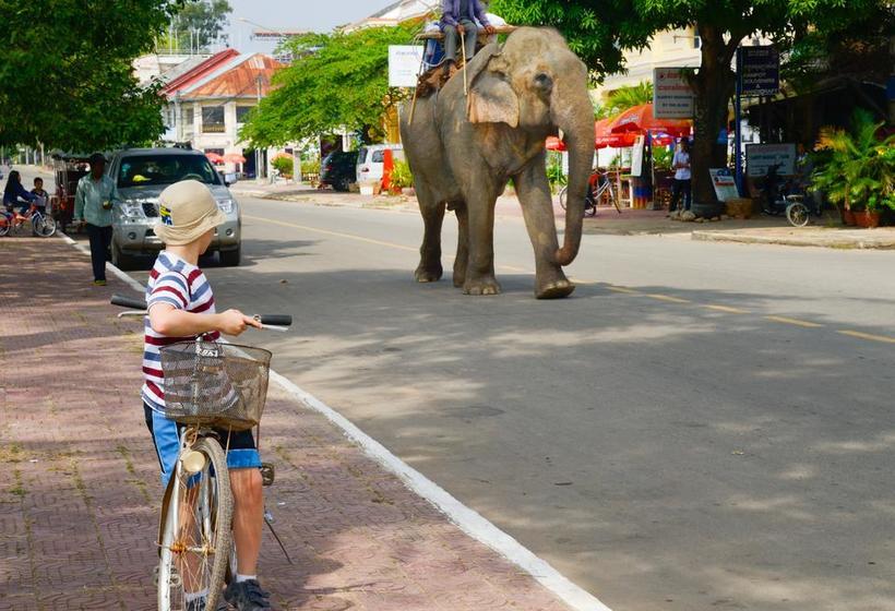 فندق Blue Buddha