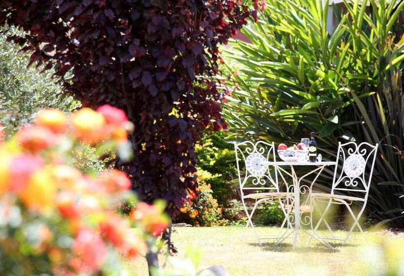 The Beautiful Cabins