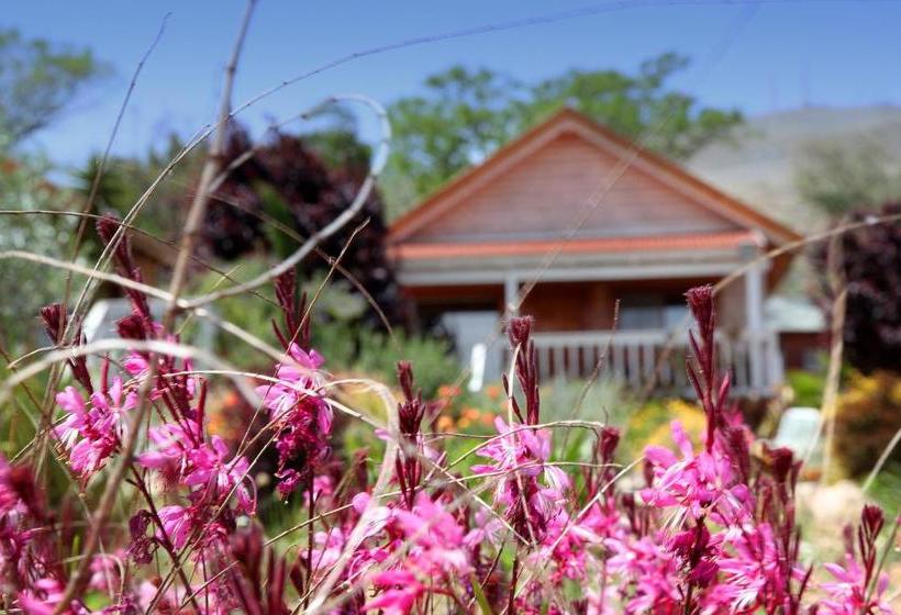 The Beautiful Cabins
