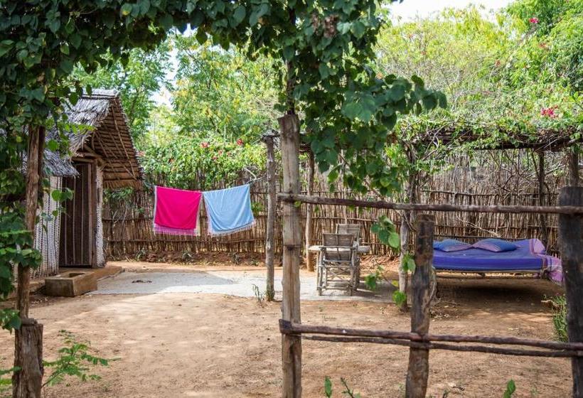 استراحتگاه Diamond Beach Village