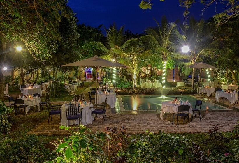 استراحتگاه Medina Palms