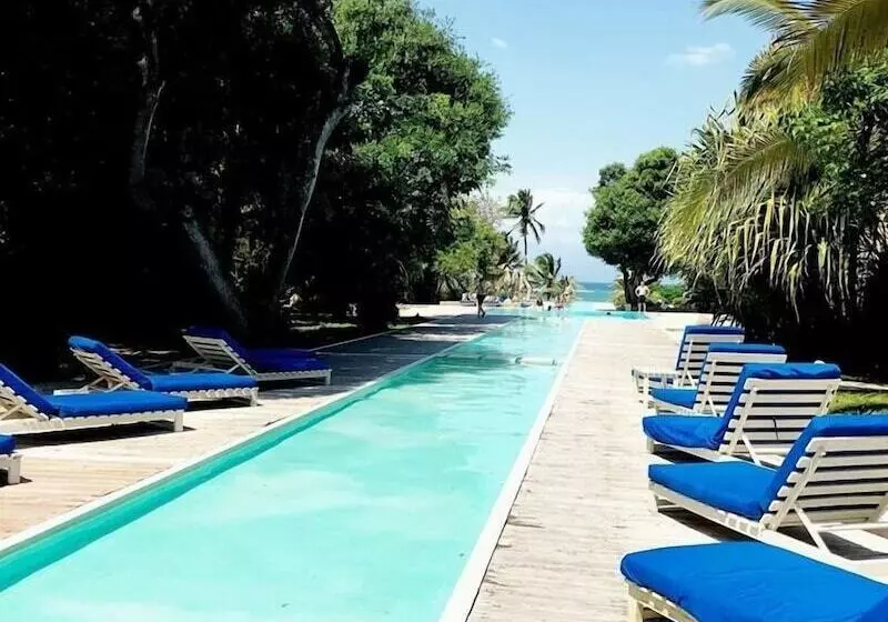 استراحتگاه Medina Palms