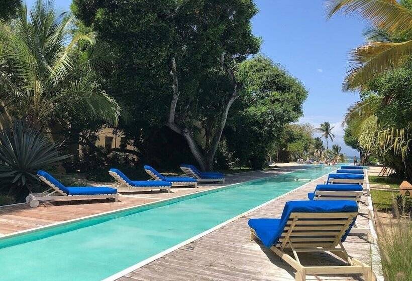 استراحتگاه Medina Palms