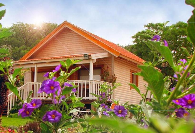 The Beautiful Cabins