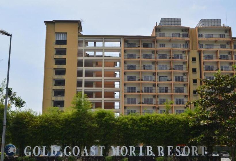 Gold Coast Morib Ain Studio