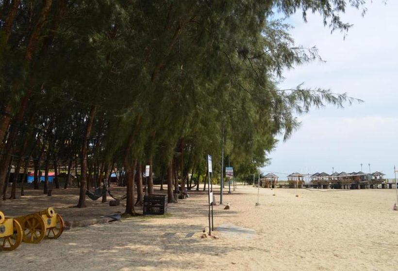 Gold Coast Morib Ain Studio