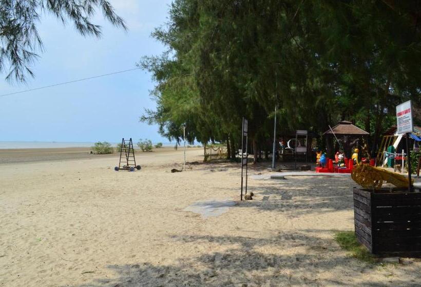 Gold Coast Morib Ain Studio