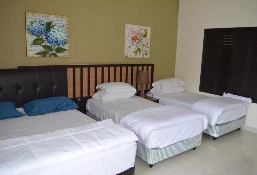 Gold Coast Morib Ain Studio