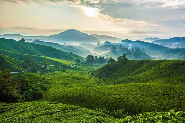 هتل Ou Inn Cameron Highlands ,ferm Nyonya Restaurant