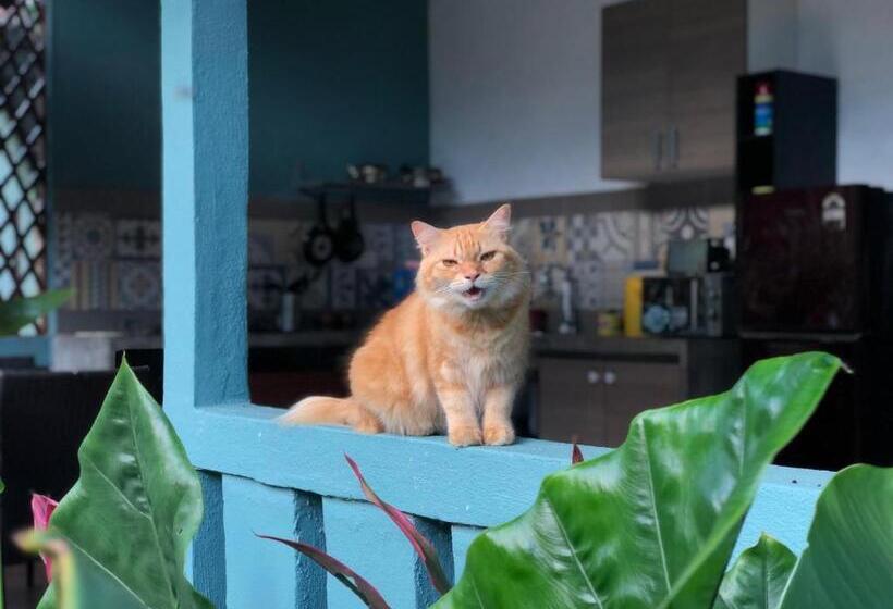 ペンション Pondok Keladi Langkawi Guesthouse