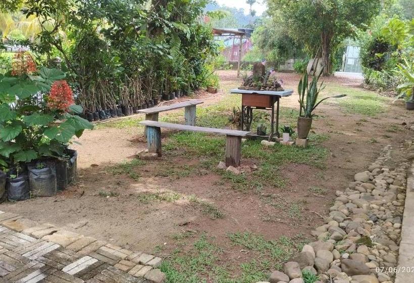 פנסיון Tahan Guest House