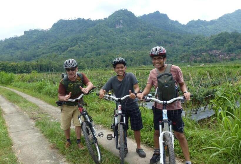 تختخواب و صبحانه Alamanda Family Villas, Pool & Local Tours