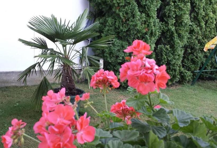 تختخواب و صبحانه Anna Vendégház