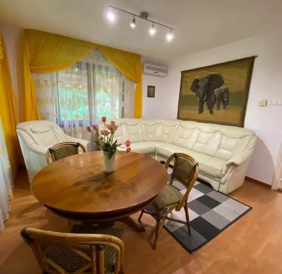 Aamiaismajoitus (B&B) Fehér Hattyú Panzió