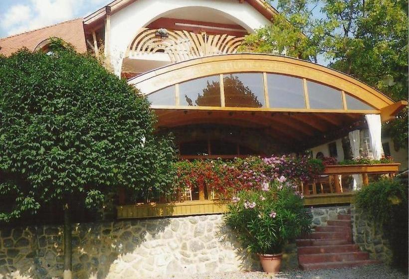 Отель Bagolyvár Panzió