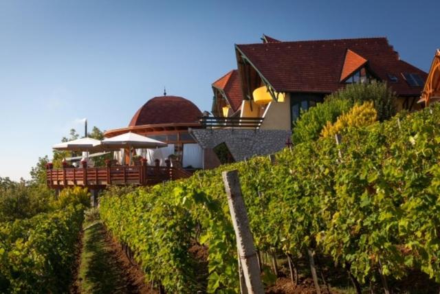 Отель Bagolyvár Panzió