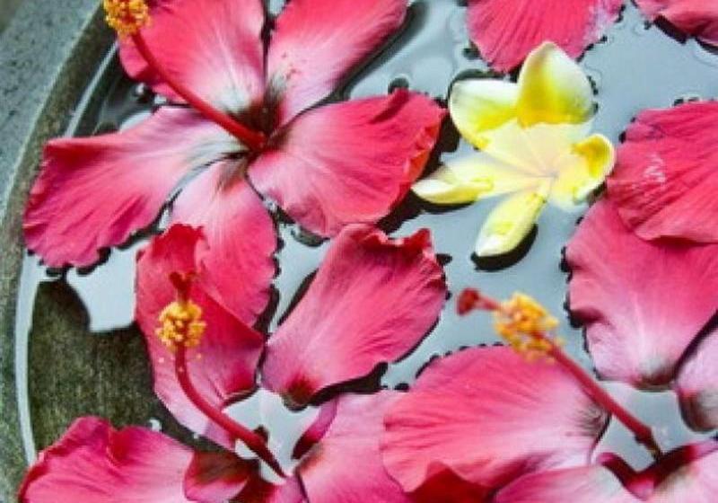 בית מלון כפרי Nyiur Indah Beach