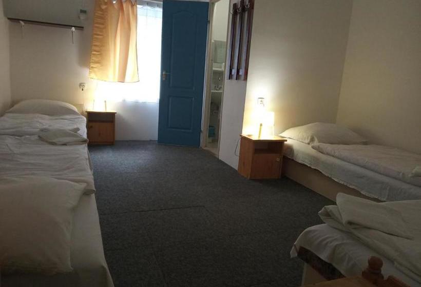 酒店 Rugby Club Hostel