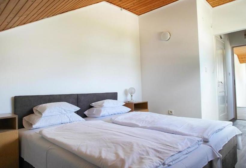 Отель Villa Bea Panzió