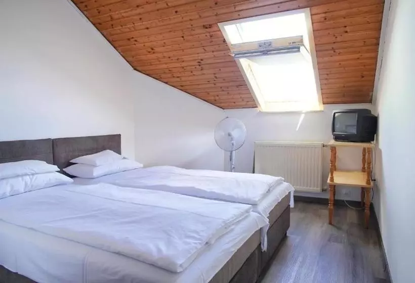 هتل Villa Bea Panzió