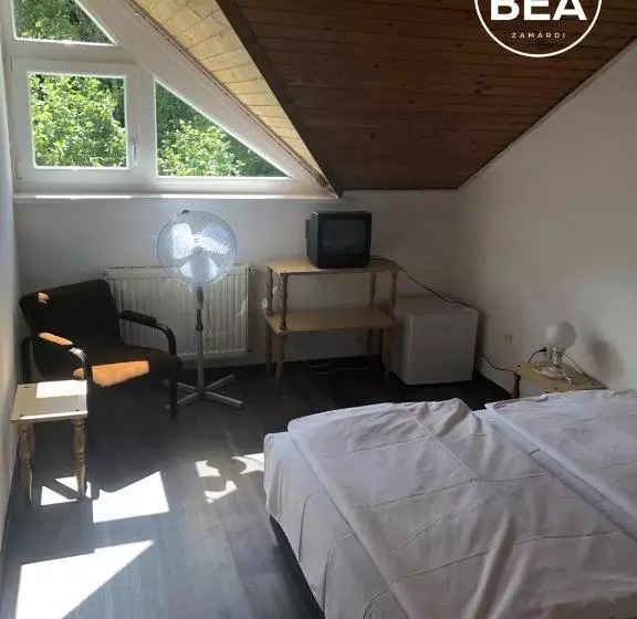 هتل Villa Bea Panzió