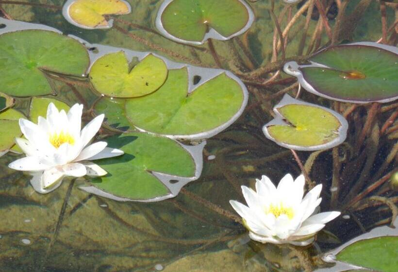 Lomakeskus Stara Pliska Complex