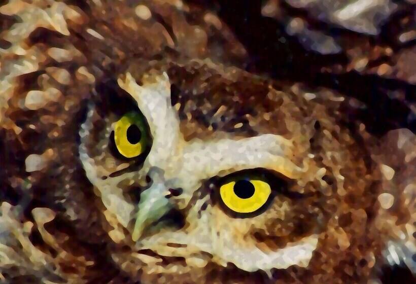 Domos Andinos Hostcamp