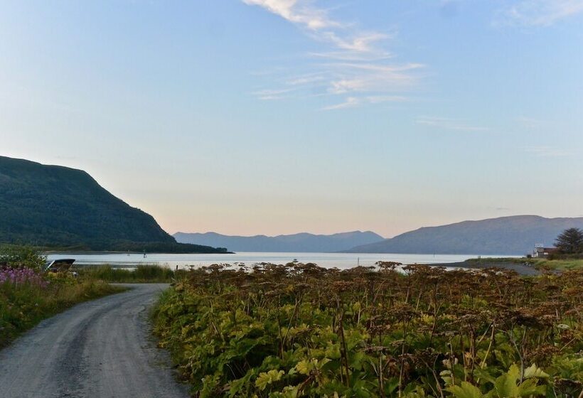 Szálloda Driftwood Wilderness Lodge