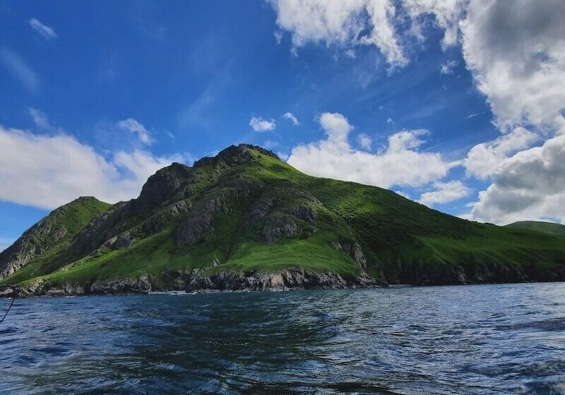 Szálloda Driftwood Wilderness Lodge