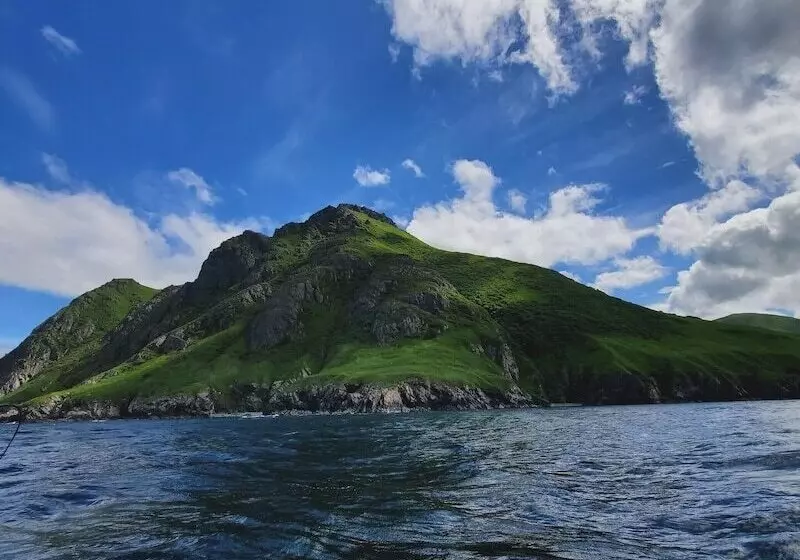 Hotelli Driftwood Wilderness Lodge