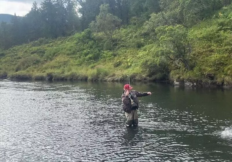 Hotelli Driftwood Wilderness Lodge