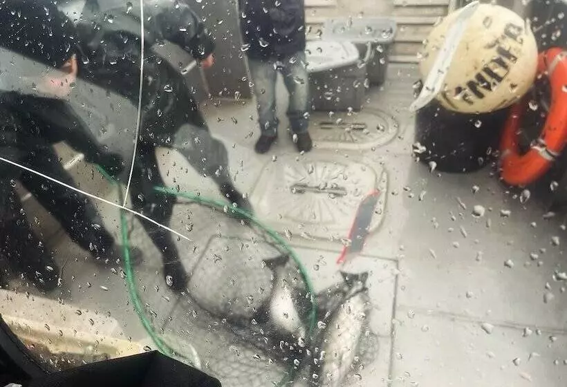 Hotelli Driftwood Wilderness Lodge