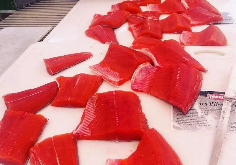 Hotelli Driftwood Wilderness Lodge