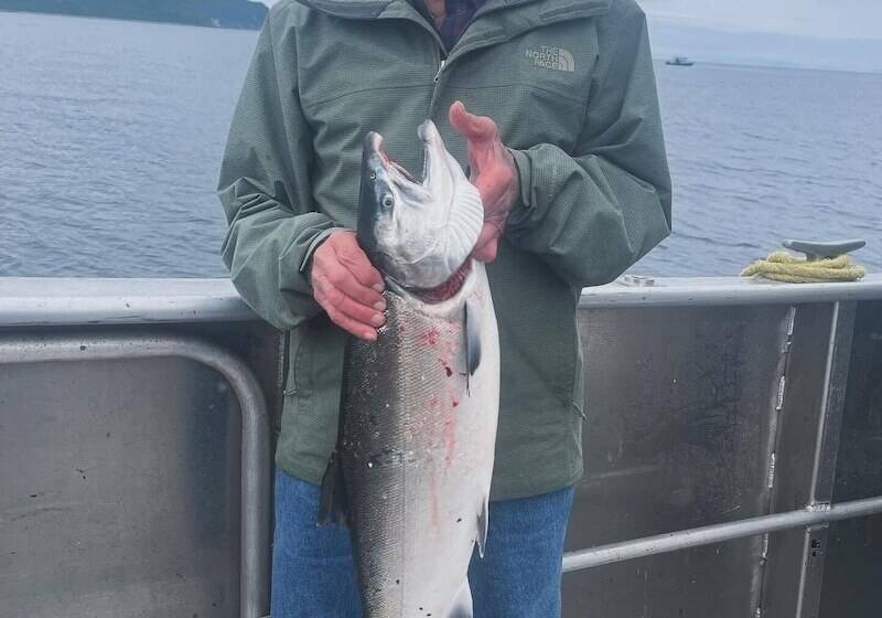 Szálloda Driftwood Wilderness Lodge