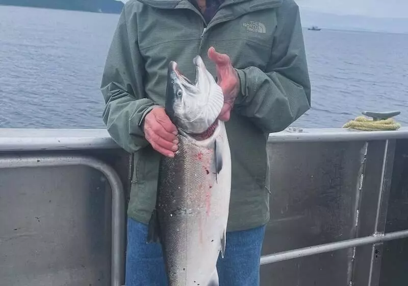 Hotelli Driftwood Wilderness Lodge