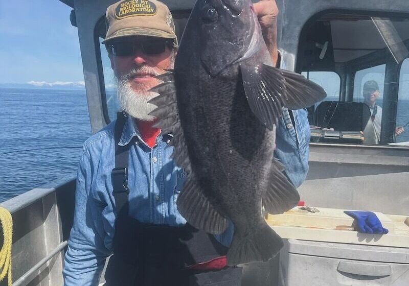 Szálloda Driftwood Wilderness Lodge